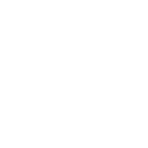 PARS Productions